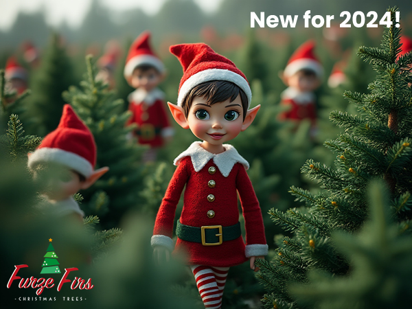 The Furze Firs Elf Trail